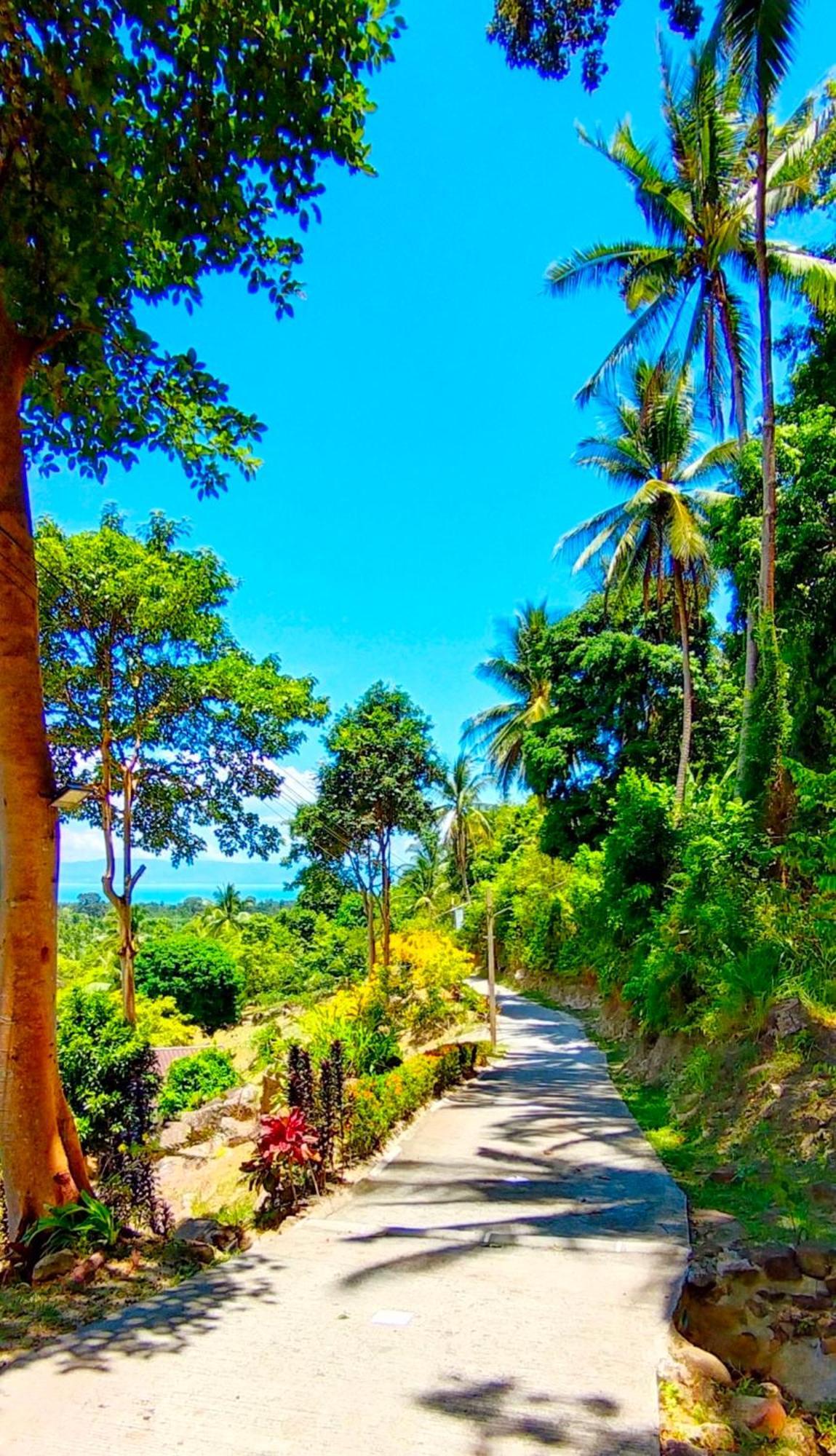 Hidden Valley Bungalows Baan Tai Bagian luar foto