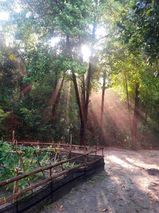 Hidden Valley Bungalows Baan Tai Bagian luar foto