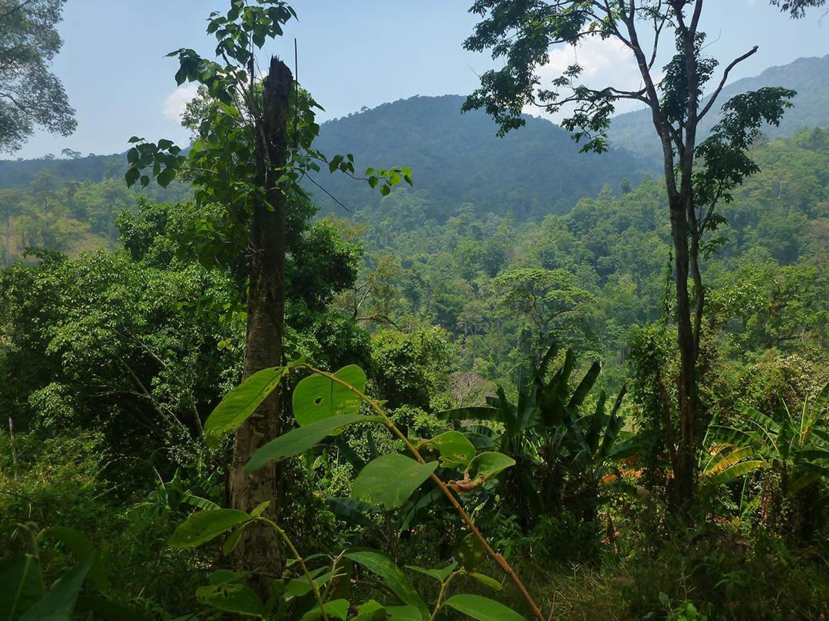 Hidden Valley Bungalows Baan Tai Bagian luar foto
